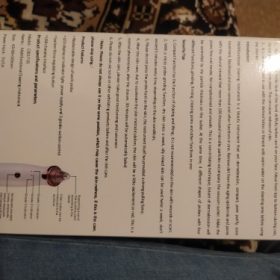 Electric Blackhead Remover Nose Cleaner photo review