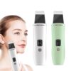 Ultrasonic Ion Skin Cleanser