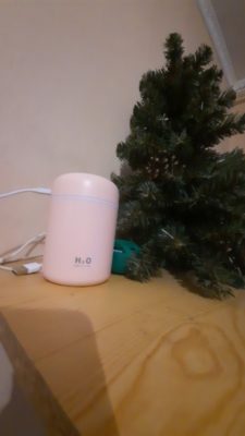 H2O USB Air Humidifier and Fragrance Diffuser photo review