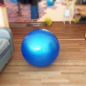 Exercise & Yoga Balls - Balance & Stability Balls for Workouts photo review